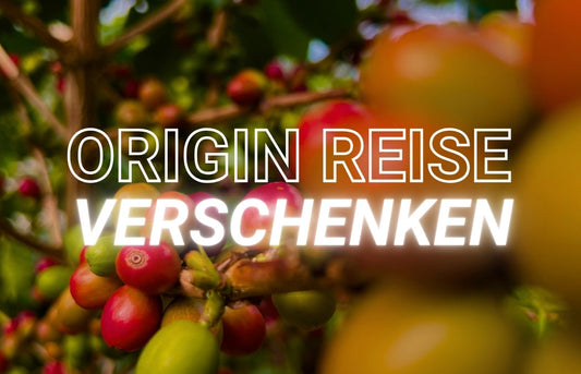 Origin Reise Abo Geschenkgutschein