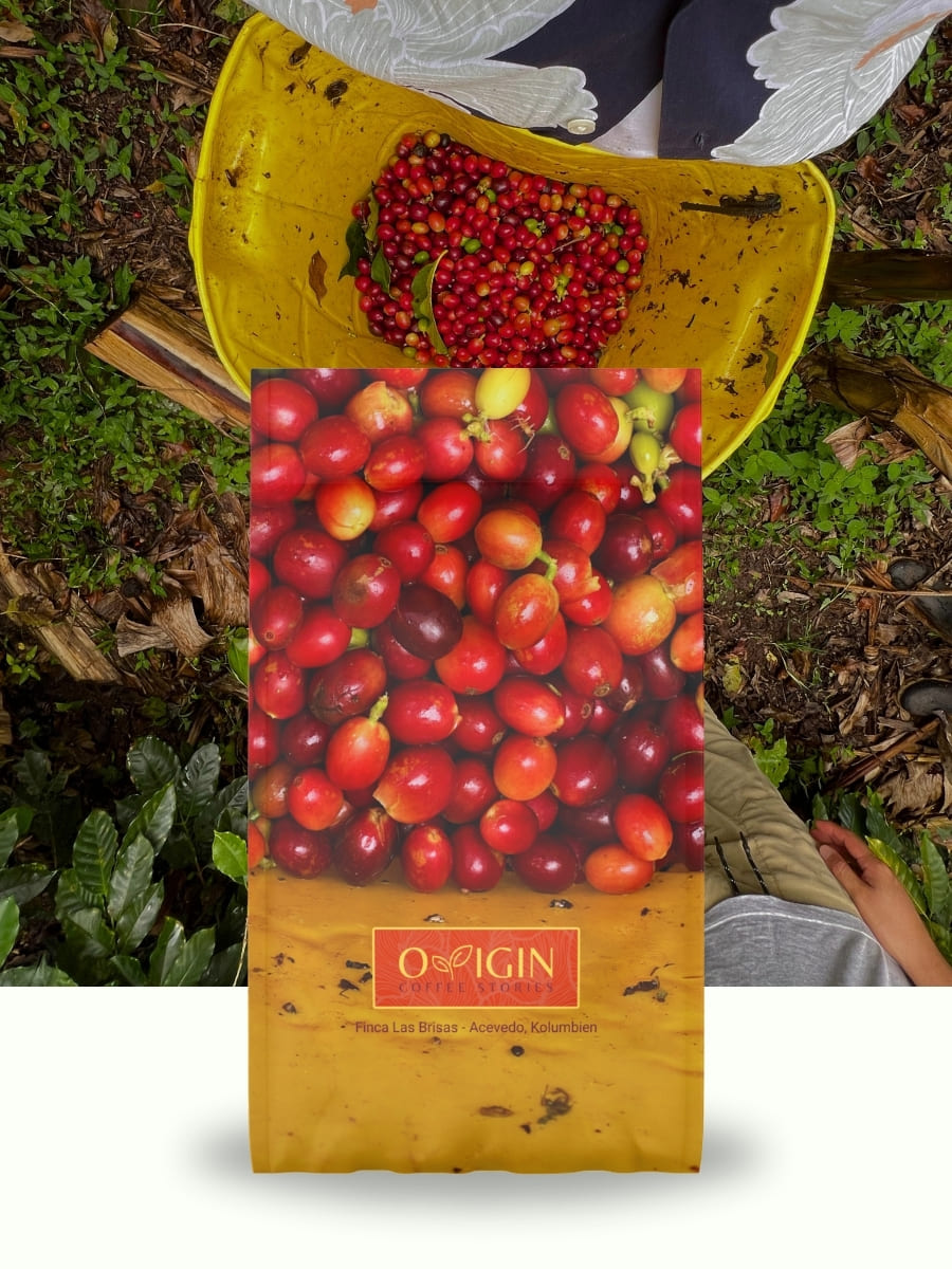 Finca Las Brisas - Bourbon Aji